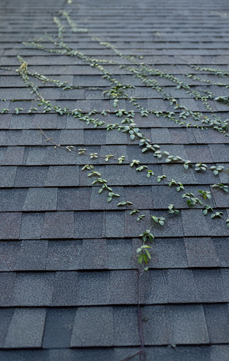 Residential Roofing mclean