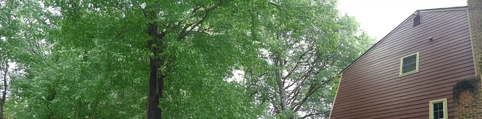 Siding Installation Falls Church VA