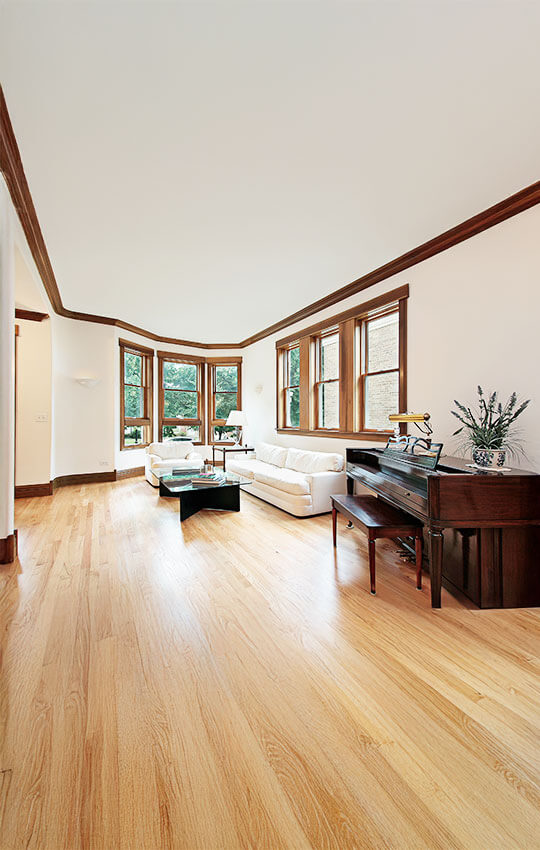 Windows Replacement Bristow VA